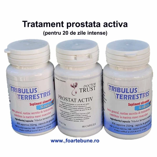 Tratament prostata activa